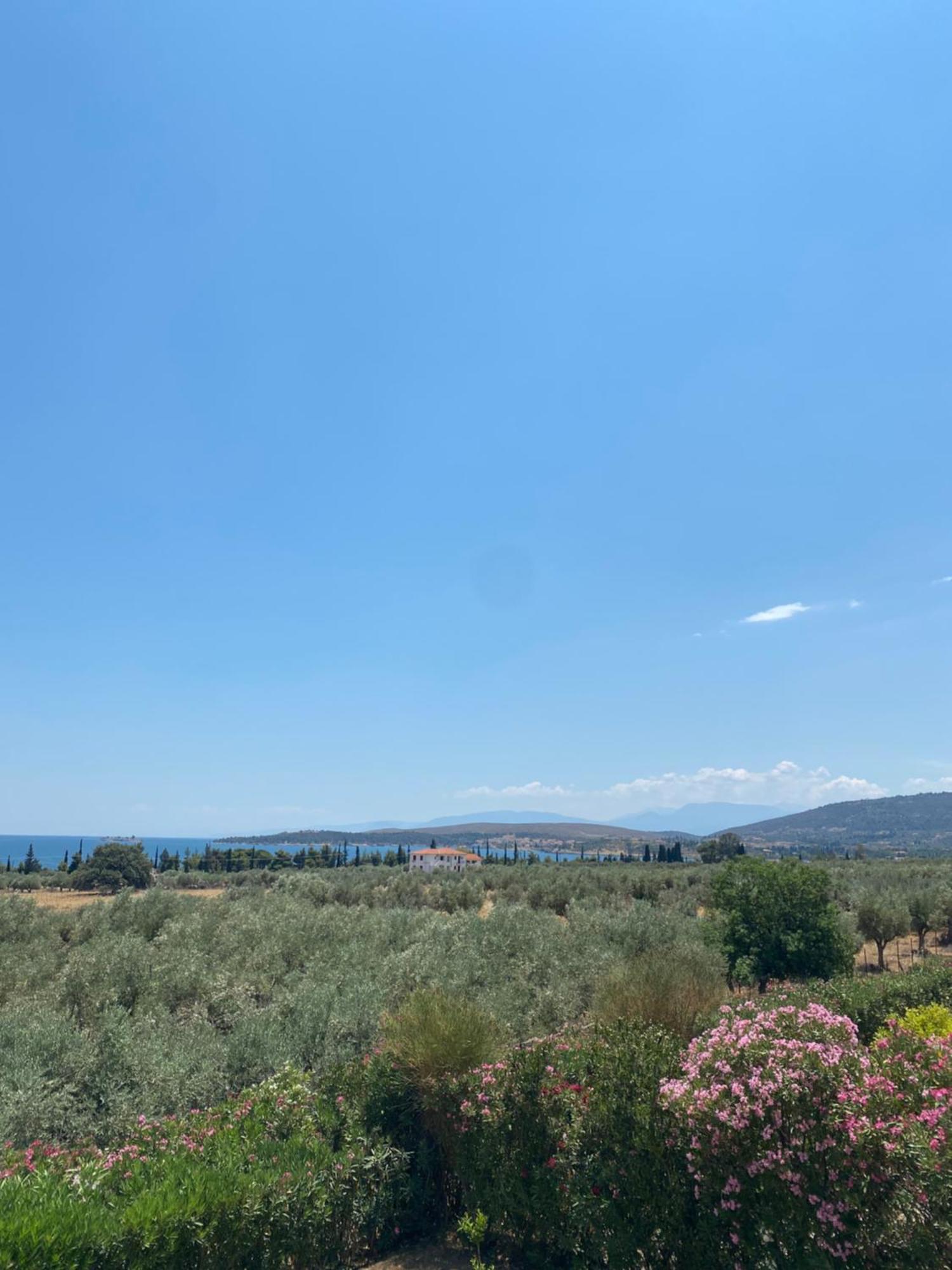 Georges Villa Galaxidi, Family, Pool And Garden Exterior photo