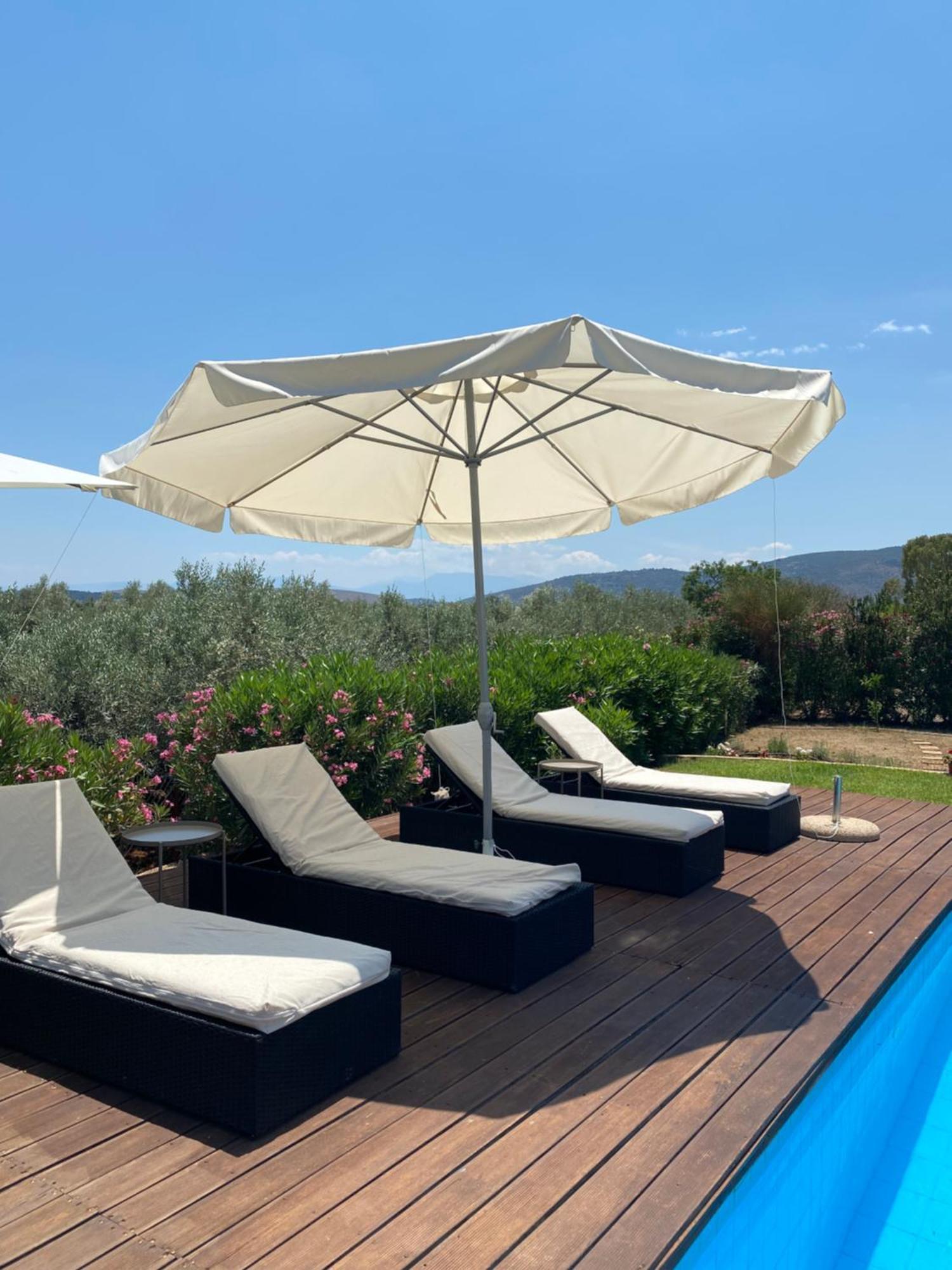 Georges Villa Galaxidi, Family, Pool And Garden Exterior photo