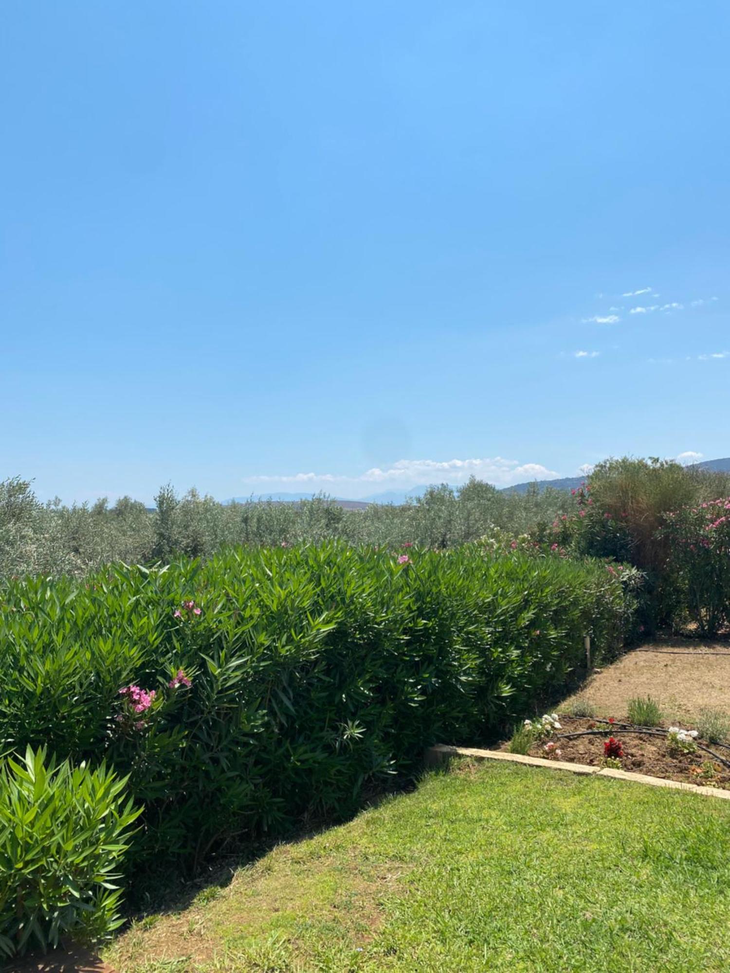 Georges Villa Galaxidi, Family, Pool And Garden Exterior photo