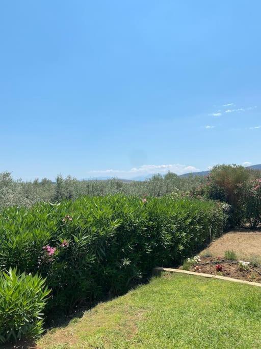 Georges Villa Galaxidi, Family, Pool And Garden Exterior photo